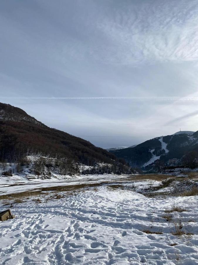 Cece'S Home Mavrovo Bagian luar foto
